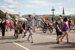 CSD-HH-2018-20 CSD-HH-2018-20